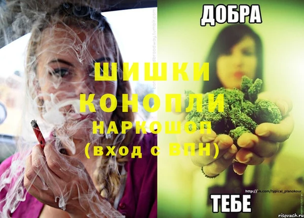СК Белокуриха