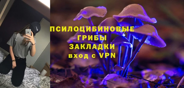 СК Белокуриха
